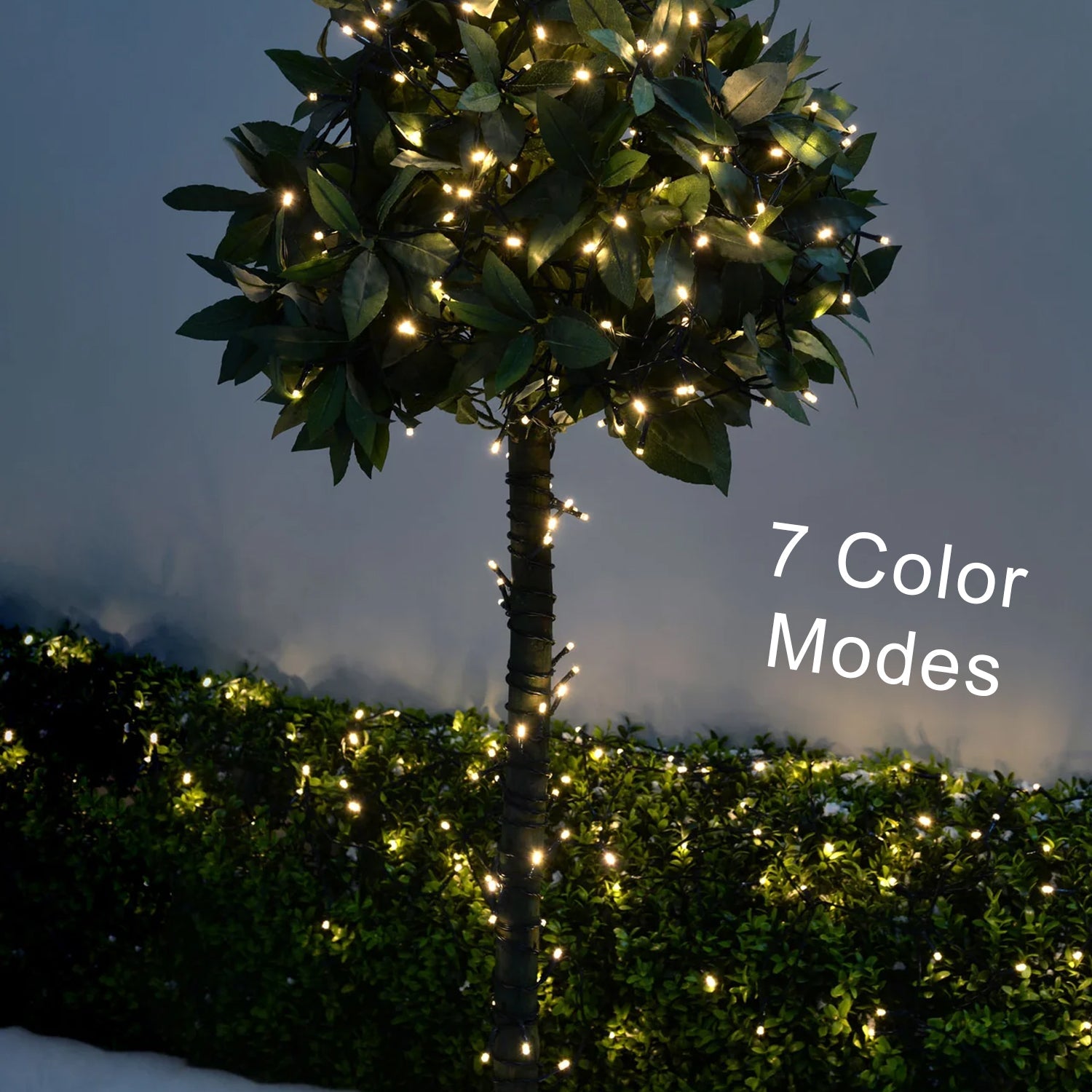 LED string lights with flower design, multi-color